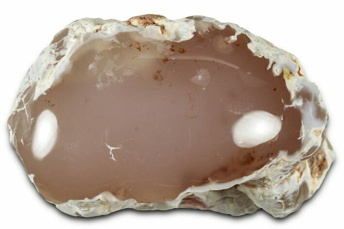 Pink Agate Replaced Petrified Wood Limb Cast - Nevada #326676